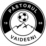 Team