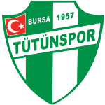 Team