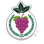 Kutlubeyspor