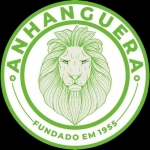 Anhanguera U13