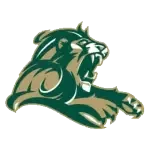 Point Loma Nazarene Sea Lions