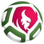 Belarusian Women's Football Cup