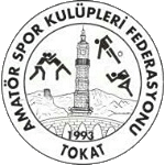 Tokat 1. Amatör Ligi, B Grubu