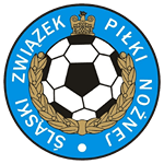 V. Liga - Śląska