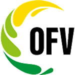4. Liga OFV - Gruppe 1