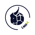 Liga Nationala