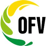 5. Liga OFV