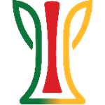 U15 Copa Sul