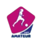 Division 3 Féminine, Group South