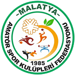 Malatya 2. Amatör Ligi