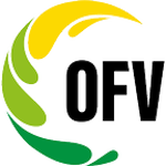 2. Liga OFV - Gruppe 1