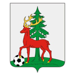 Yelets Championship