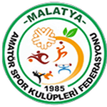 Malatya 1. Amatör Ligi