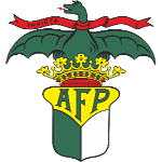 A.F. Porto 1ª Divisão, Série D